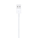 Apple Cabo de Lightning para USB (1m)
