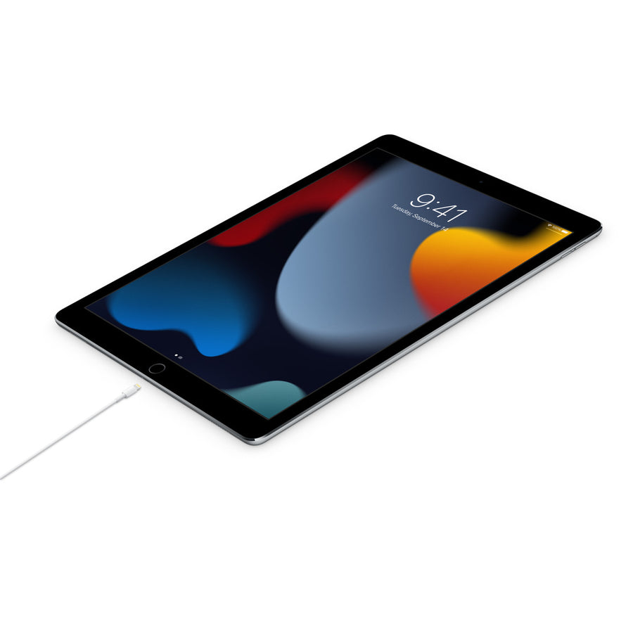 Apple Cabo de USB-C para Lightning (1m)