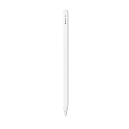 Apple Pencil USB-C - Novo e Lacrado