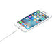 Apple Cabo de Lightning para USB (1m)
