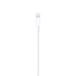 Apple Cabo de Lightning para USB (1m)