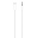 Apple Cabo de áudio de USB-C para conector de 3,5 mm (1,2m)