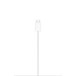 Apple Carregador MagSafe (2m)
