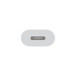 Apple Adaptador de USB-C para Lightning